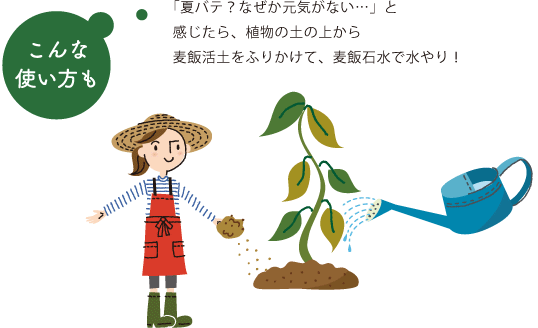 こんな使い方も：「夏バテ？なぜか元気がない…」と感じたら、植物の土の上から麦飯活土をふりかけて、麦飯石水で水やり！